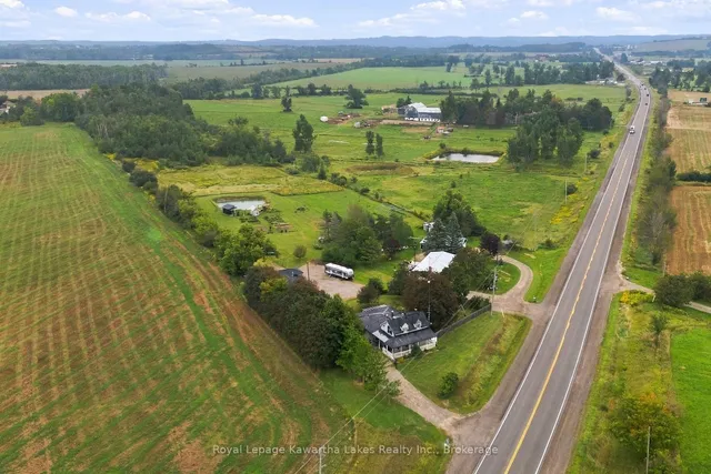 3313 Hwy 7 Highway, Kawartha Lakes 5