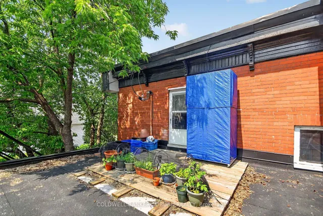 698 Cooper St, Ottawa 2