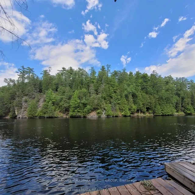 466 Stewartville Rd, White Lake 2