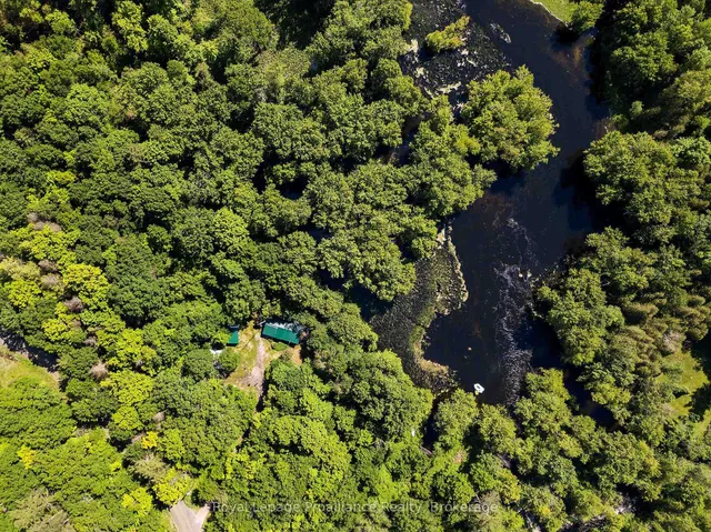 2840 Rapids Rd, Tweed 5