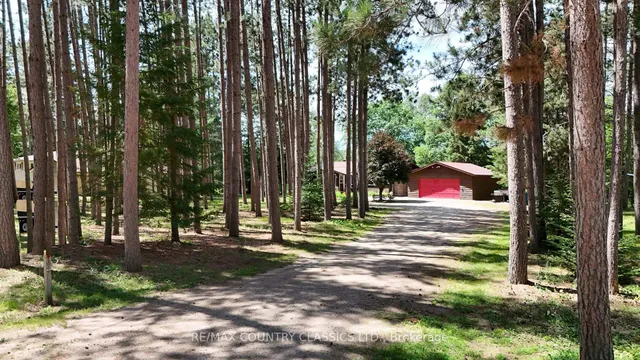 24 Firehall Lane, Bancroft 3