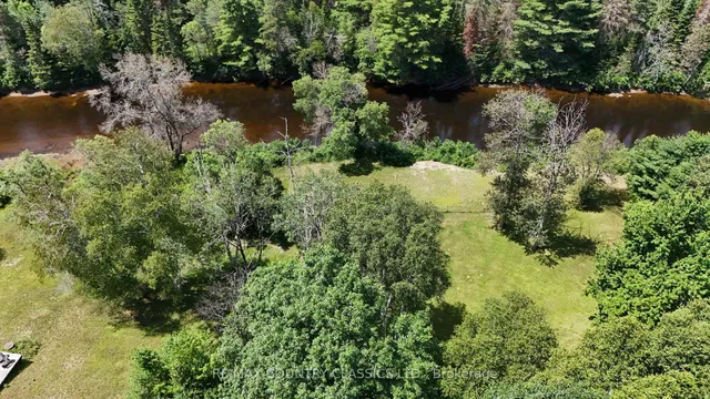 24 Firehall Lane, Bancroft 2