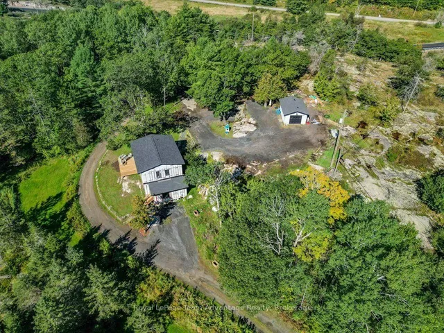 441 Hwy 559 Highway, Carling 5