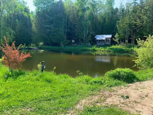 131 HIDDEN VALLEY Rd, Northern Bruce Peninsula 4