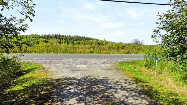 475 Essex Rd, Kenora 2