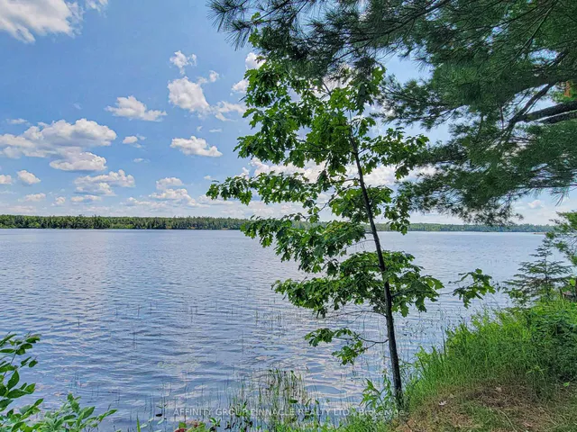 396 North Shore Rd, Kawartha Lakes 3