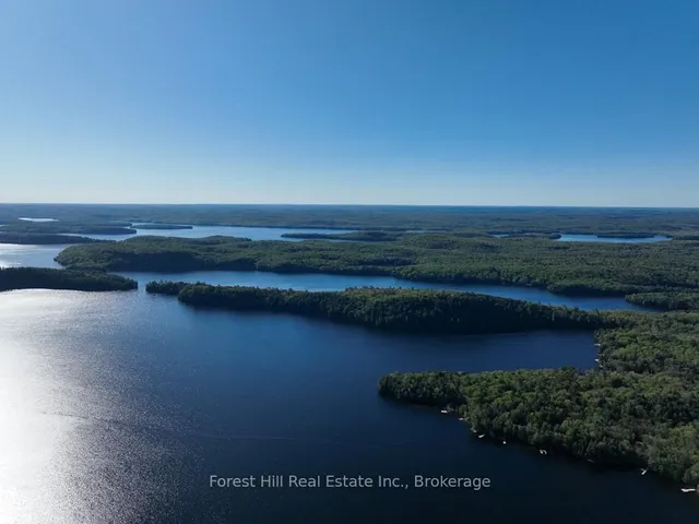 1089 Lutes Lane, Algonquin Highlands 3