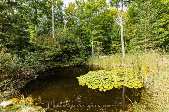 3993 Chapel Rd, South Glengarry 4