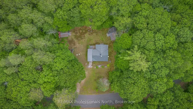 1628 Boshkung Lake Rd, Algonquin Highlands 5