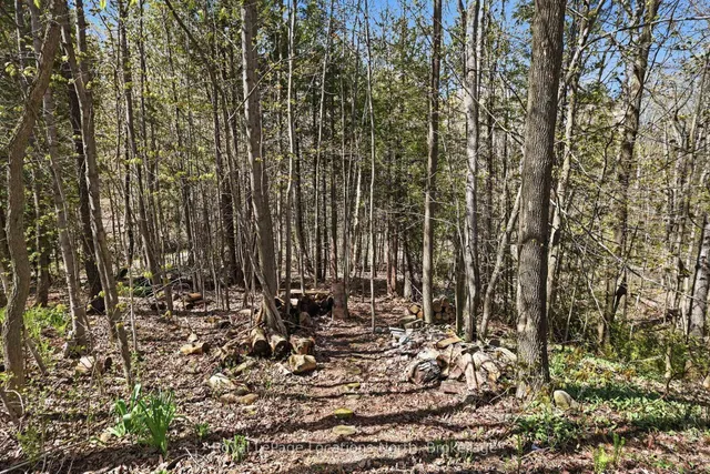 66 Gordon Cres, Meaford 5
