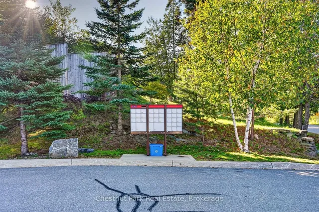 37 Silver St #1, Huntsville 5