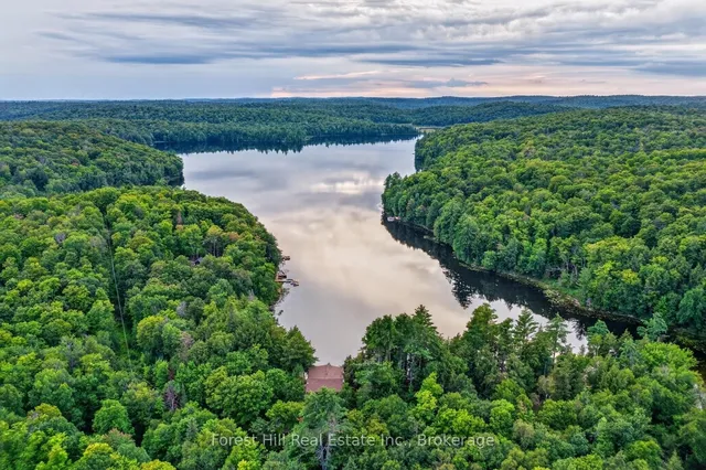 3611 Livingstone Lake Rd, Algonquin Highlands 4