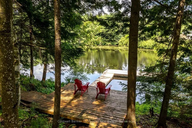 48 Shellwood Shores Ave, Huntsville 2