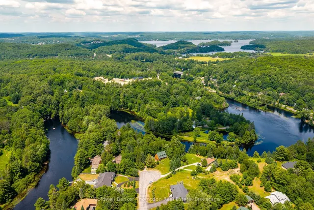 48 Shellwood Shores Ave, Huntsville 3