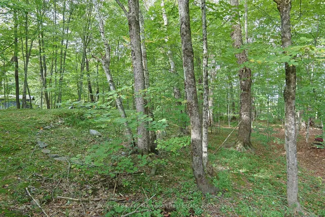 151 Allensville Rd, Huntsville 4