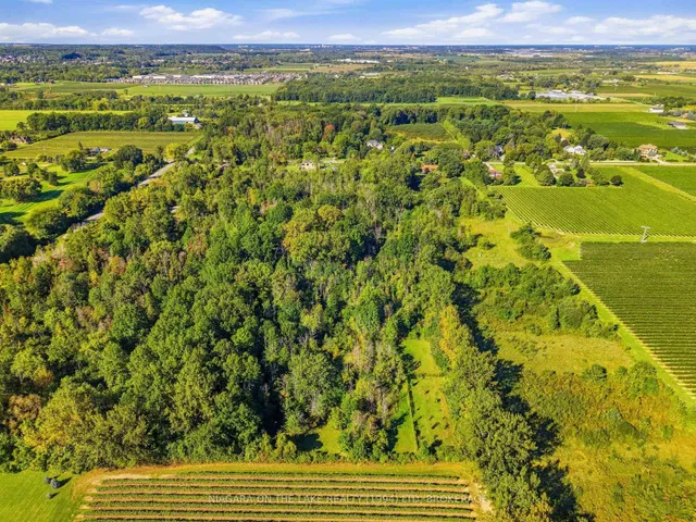 419 Concession 2 Rd, Niagara-on-the-Lake 5