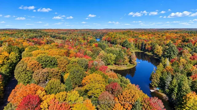 1099 Sherwood Forest Rd, Bracebridge 2