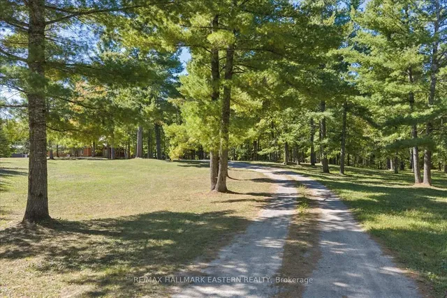 778 Eighth Line Rd, Douro-Dummer 3