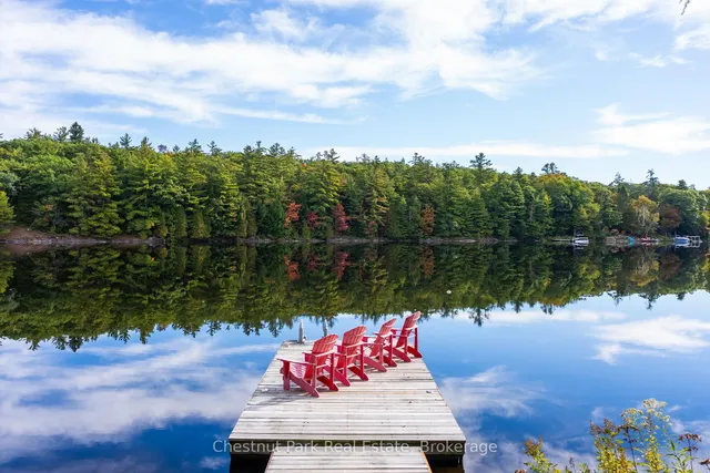 1047 Hallett Rd, Muskoka Lakes 4