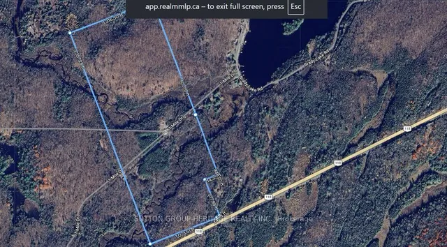 1241 One Mile Dr, Minden Hills 4