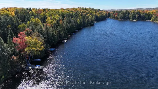 1034 Charlie George Lake Dr, Dysart et al 2