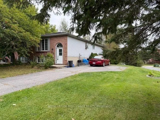 272 Owens Cres, Kingston 2