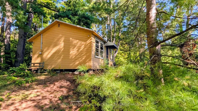 1256 Rose Lane, Hartington 4