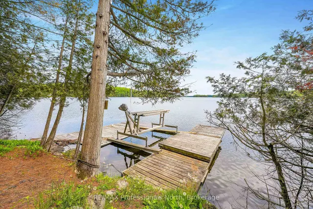 1214 Kashagawigamog Lake Rd, Minden Hills 5