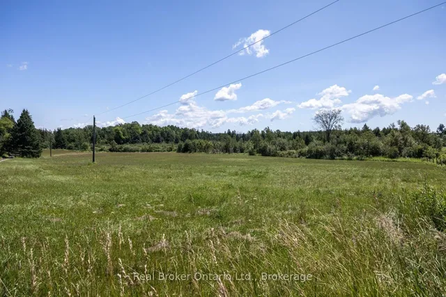 982 Porter Rd, Kawartha Lakes 2
