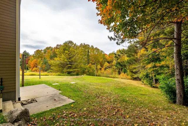 206 Locke's Rd, Perry 4