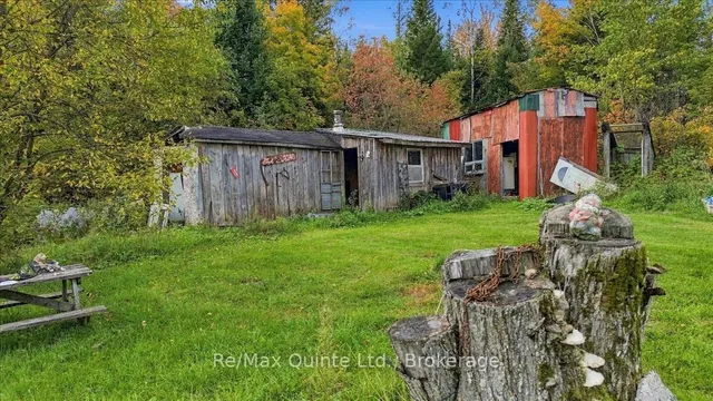 984 Cleveland Rd, Madoc 4