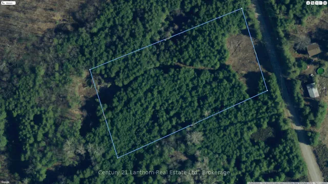 781 Carson Rd, Madoc 4