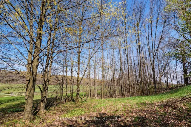 130 Crooked Hill Rd, South Bruce Peninsula 3