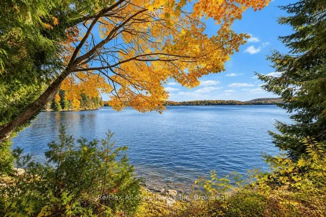 14 60 Highway, South Algonquin 4