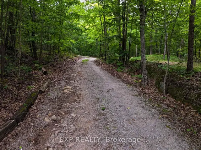 273 Fire Route 330 Rte, Trent Lakes 4