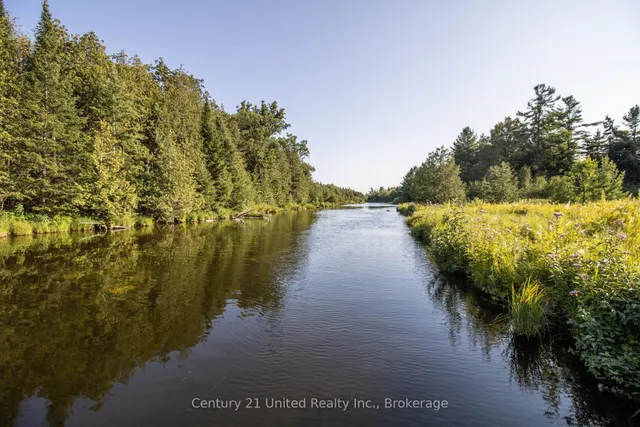 395 Sawmill Rd, Douro-Dummer 5