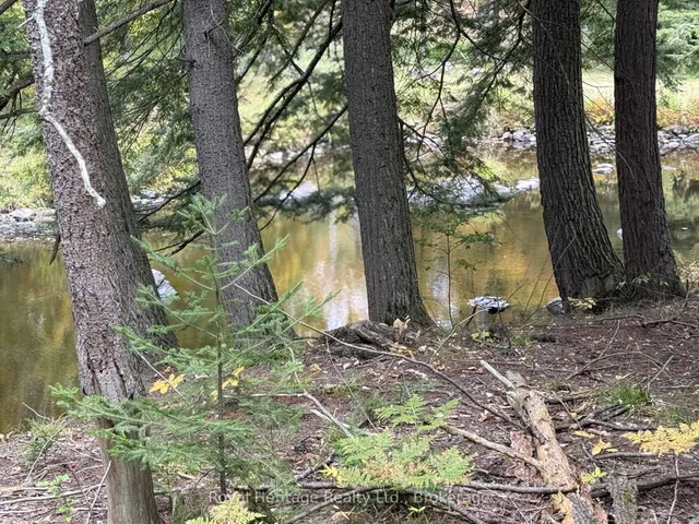 7 Fire route 92 Rte, Trent Lakes 4