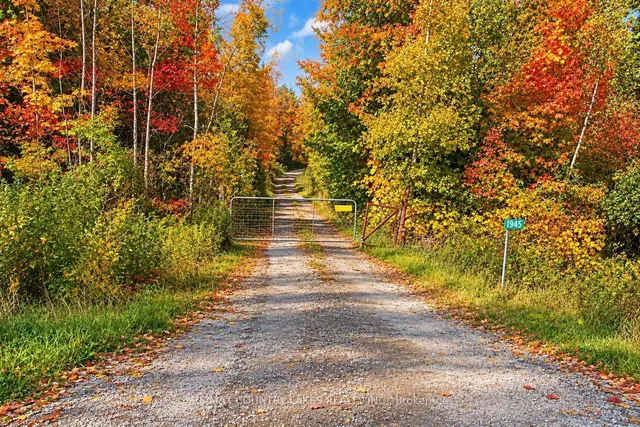 1945 County Road 48, Kawartha Lakes 5