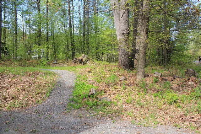886 Muskoka 10 Rd, Huntsville 5