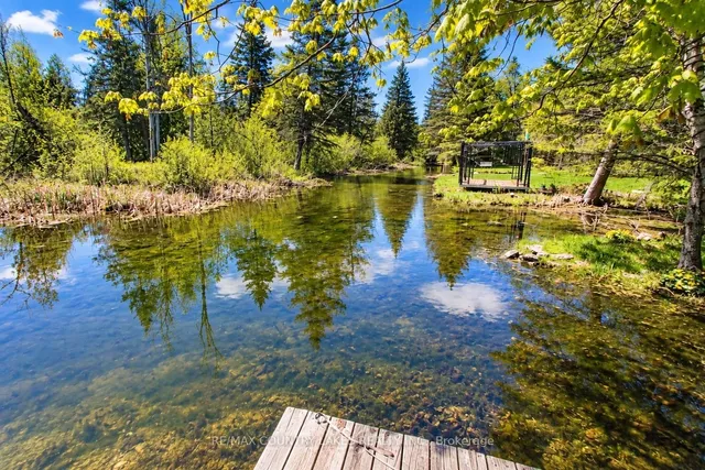77 McGuire Beach Rd, Kawartha Lakes 5