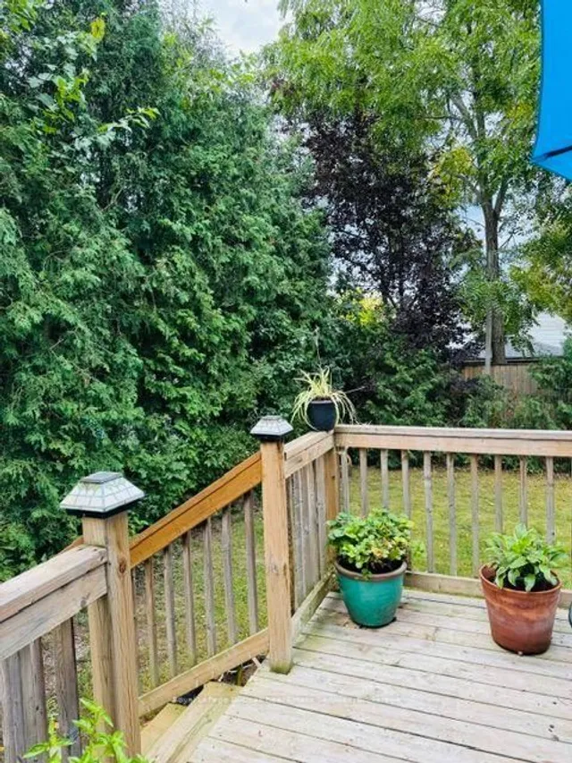 107 Norwood Rd, Hamilton 4
