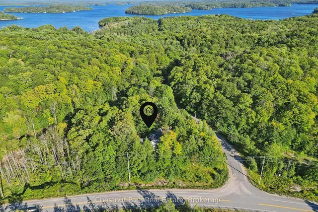 1005 Woodington Rd, Muskoka Lakes 3