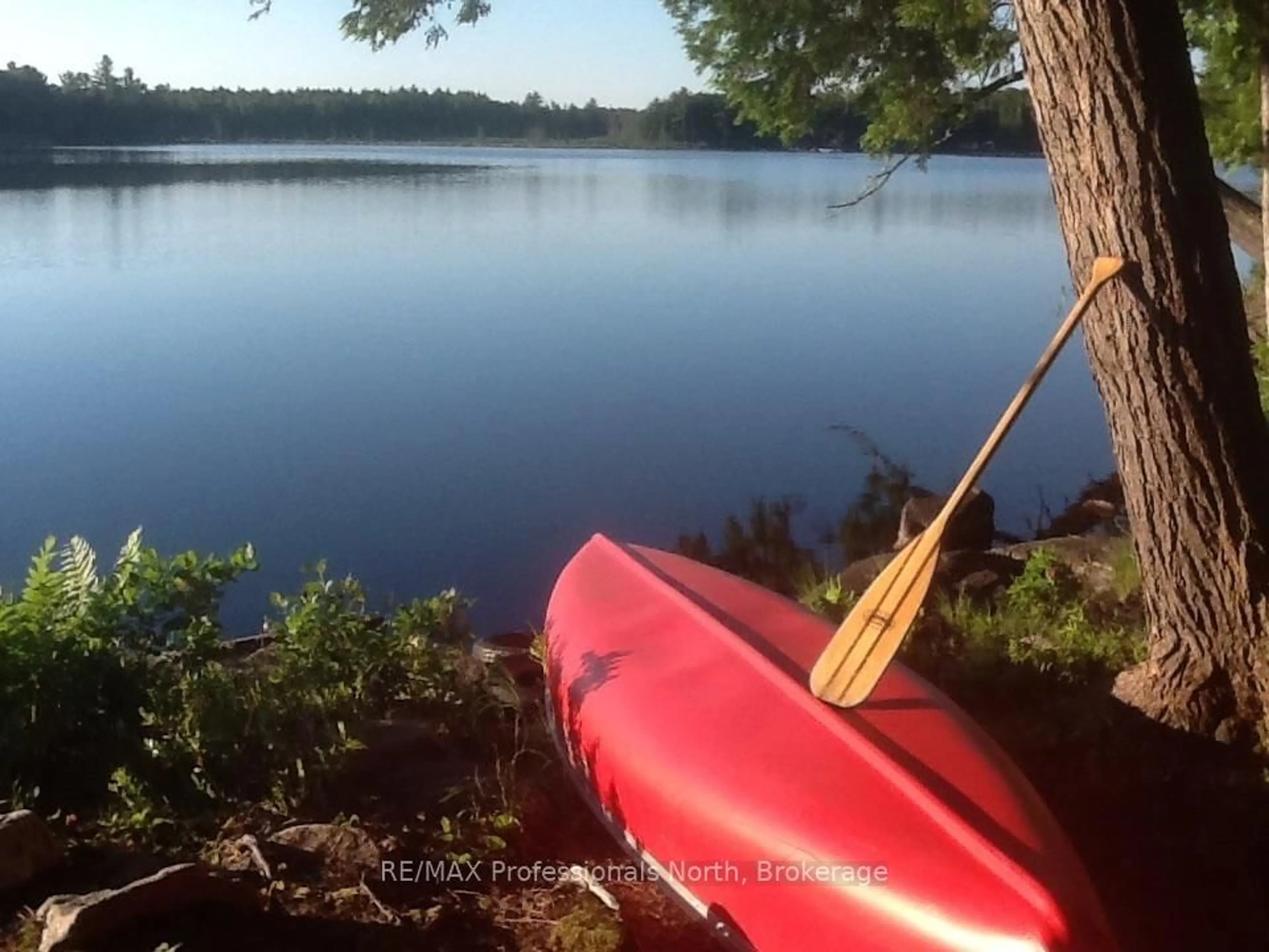 trreb/IMG-X13870218_0dcc4457-24c2-4f42-ad87-1921e3497aab-l.jpg