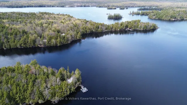 1014 Fire Route 74, North Kawartha 3
