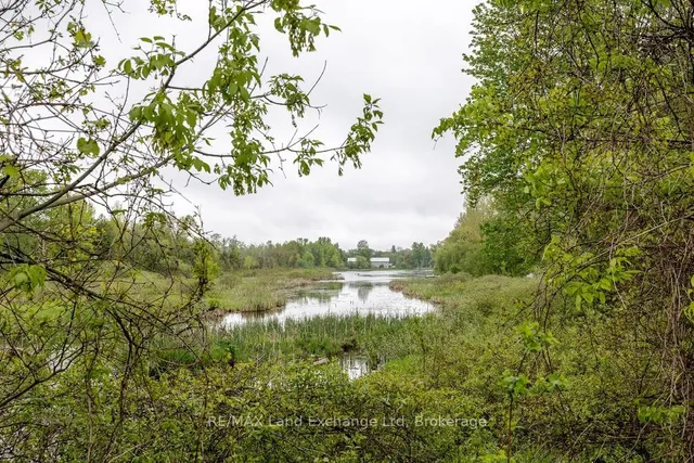 463 Wolsley St, Huron-Kinloss 5