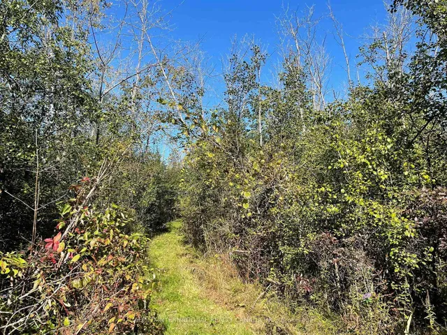 537 Burr Rd, Prince Edward County 3