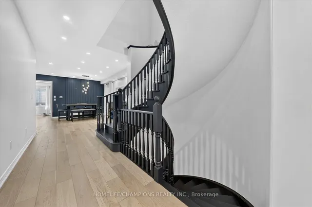 154 Humphrey St, Hamilton 5