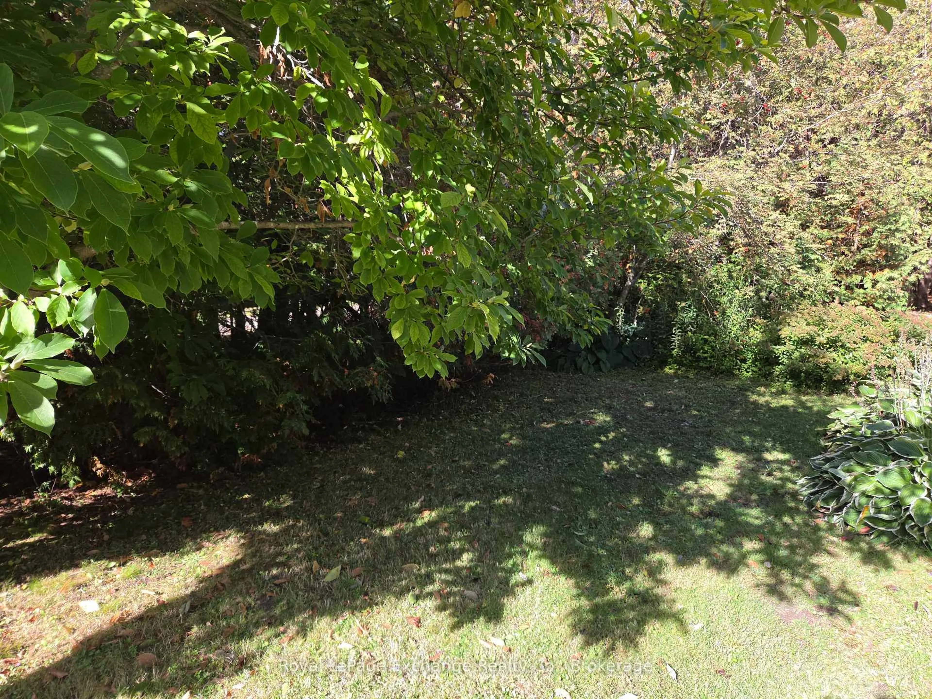 trreb/IMG-X13878570_b7a40a55-9b7d-4912-9363-011492cc2fc5-l.jpg
