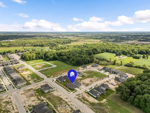 50 Page St, Pelham 5