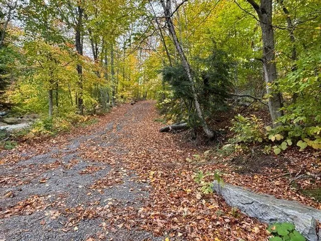 231 West Diamond Lake Rd, Bancroft 5